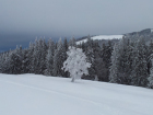 2012-01-07 10.59.21.jpg
