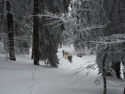 2012-01-07 10.38.53.jpg