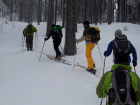 2012-01-07 10.35.24.jpg