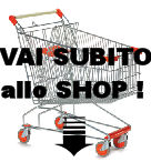 cascoecommerce50.jpg