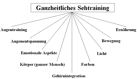 Sas ganzheitliche Sehtraining des Sehforums-Bayern