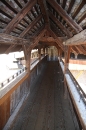 chil_0134.jpg