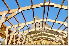 Halle mit Nagelplattenbinder