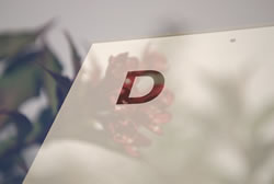 Text Bild 1