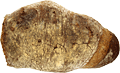 B&uuml;rlibrot dunkel