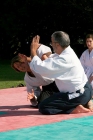 kokyu 6