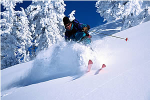 Skifahren im Skigebiet Zillertal-Arena