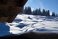 Winterurlaub in der Skihütte in Österreich