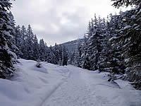 traumhafter Winterwanderweg