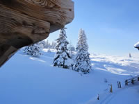 Herrlicher Wintertag