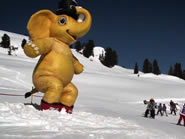 Skischule in Silberleiten in der Zillertal-Arena