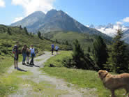 Wanderweg bei der Ferienwohnung im Zillertal