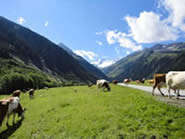 Spazierweg bei der Finkau in &Ouml;sterreich