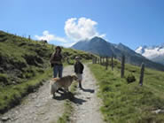 Spazierweg bei der Skih&uuml;tte &Ouml;sterreich
