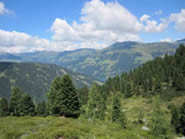 Schwammerlweg bei K&ouml;nigsleiten