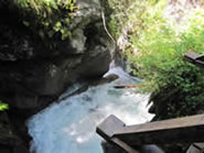 auf dem Weg zur Trisslalm in der Zillertal Arena