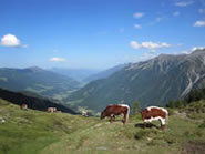 Wanderung von der Skih&uuml;tte &uuml;ber Hochkrimml zu den Wasserf&auml;llen