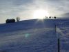 img452b41309c195.jpg