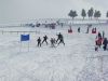 img452b41413f4e8.jpg