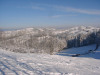 dsc02288.jpg