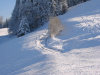 dsc02295.jpg