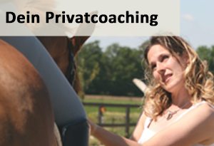 Privatcoaching Dressurausbildung Mentaltraining Tuuli Tietze
