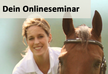 Onlinereitunterricht Dressurausbildung Mentaltraining Tuuli Tietze