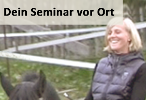 Dressurseminar Lehrgang Kurs