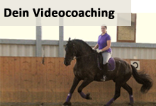 Videocoaching Telefoncoaching Reiterunterricht