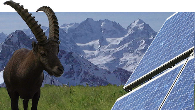 Buchli GmbH Solarpanorama