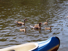 vatertag 2011 017.jpg