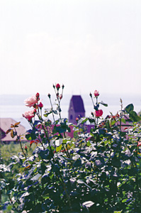 Aussicht