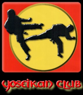 Yoseikan Club &agrave; Toulon