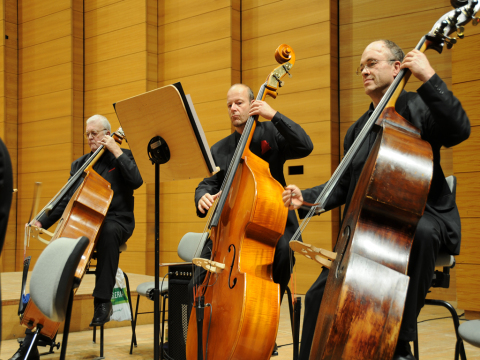 18 - Kontrab�sse im Konzert