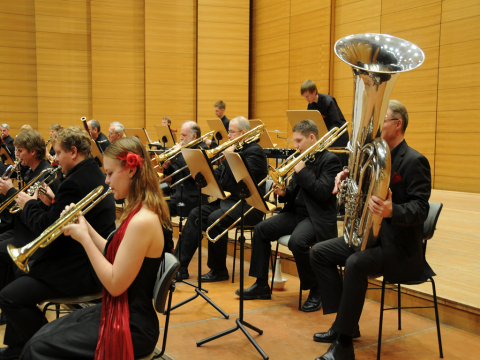 19 - Kr�ftiges, h�bsches Blech in "Rot und Schwarz"