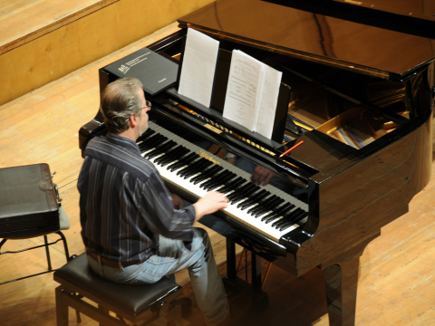 05 - volle Konzentration am Fl�gel
