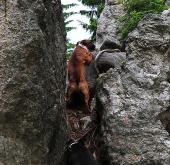 Huuch bei Kletterpartie