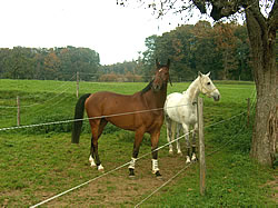 Welano und Jolie Pomme