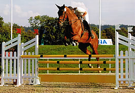 Avenches 2006