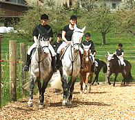 Quadrille Tag der offenen Schür
