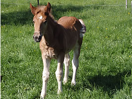 Fridolin 2 Monate alt