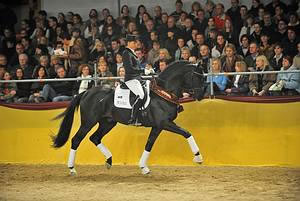 Vater Stockholm (Stedinger Sandro Hit)