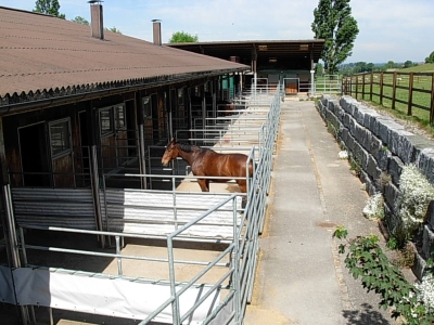 Auslaufboxen