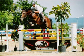 Sarranels, Hengst 1999, Holland