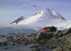 Antarktis-Port-Lockroy Foto Webdesign