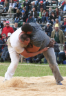 img_3028.jpg img_3028.jpg