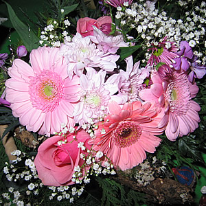 Blumen3.jpg