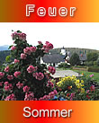 Sommer - Feuer