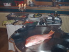 imag0041.jpg