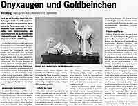 Onyxaugen und Goldbeinchen